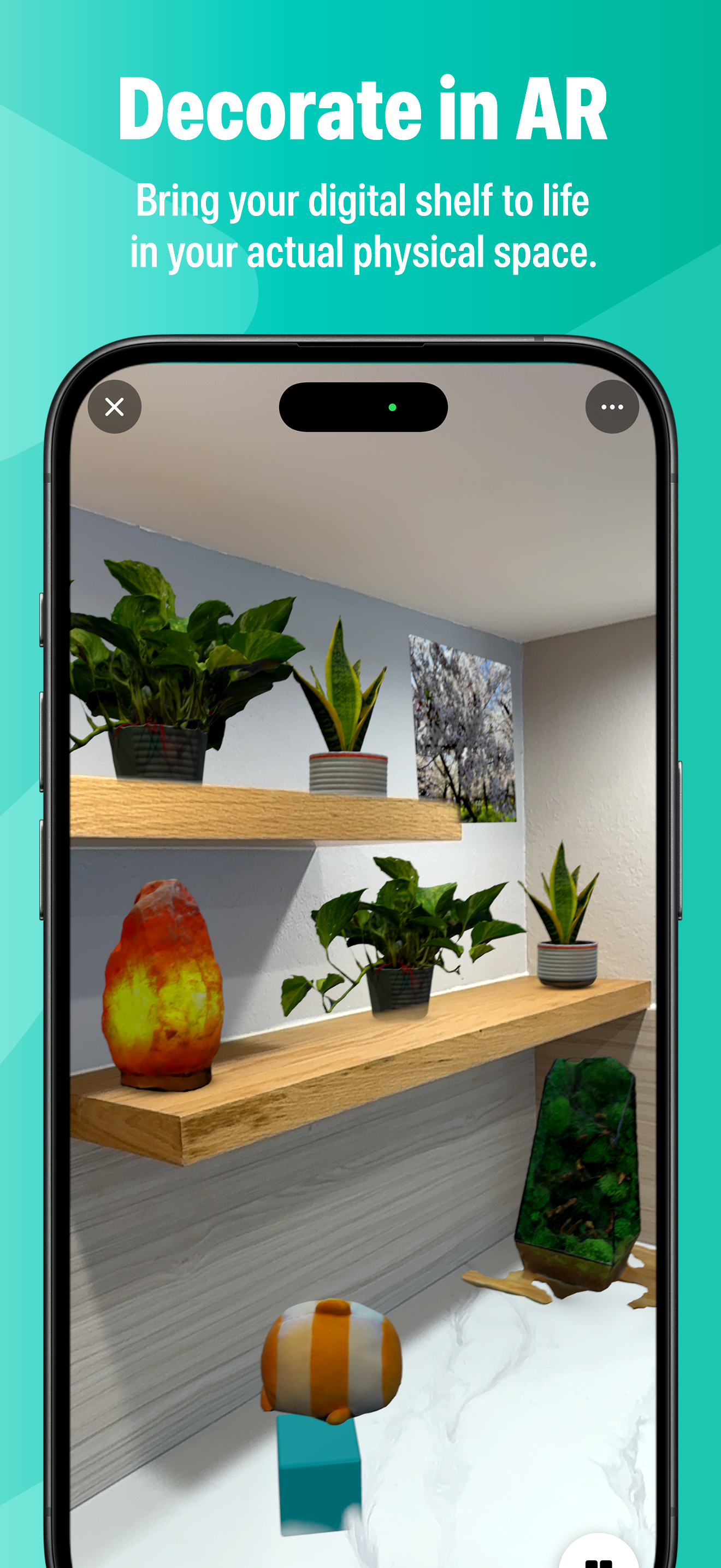 Decorate in AR: digital plants on real wooden shelves, a salt lamp, and a moss-art frame placed in a real room through iPhone