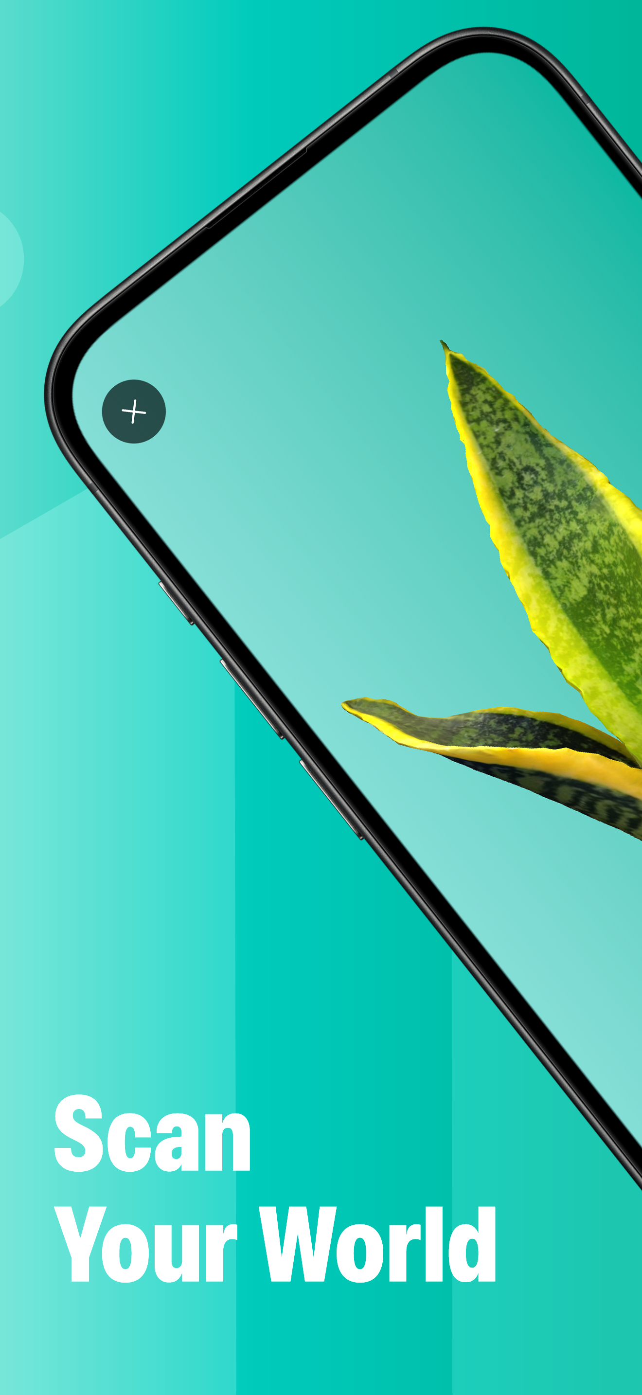 Scan Your World: hero scan of the top of a snake plant rendered in 3D, bleeding into the right edge of the canvas